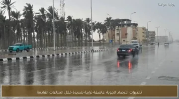 توقعات الأرصاد الجوية تنذر باقتراب عاصفة ترابية شديدة خلال الساعات القادمة